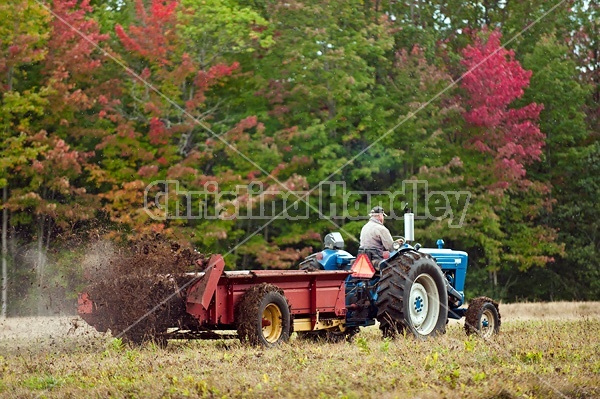 Farmer spreading manure in the fall.