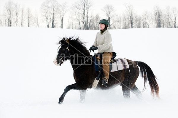 Horseback riding in the snow in Ontario Canada