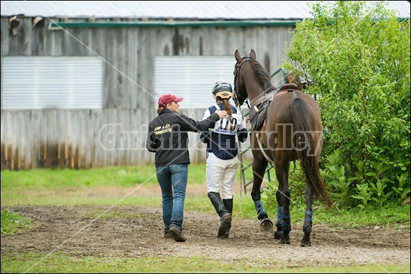 Horse Trials