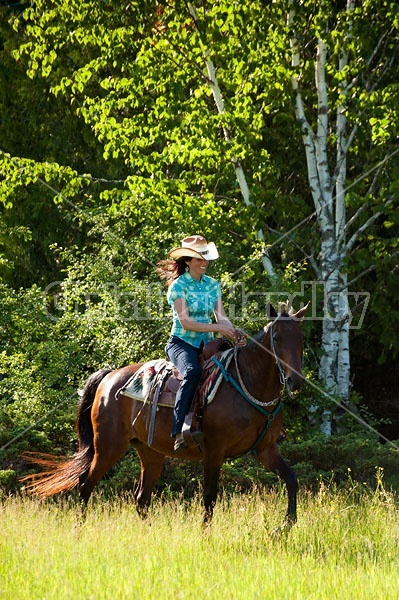 Woman trail riding on Standardbred mare