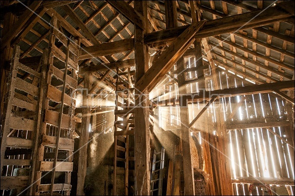 Sunlight streaming through barn boards into hayloft