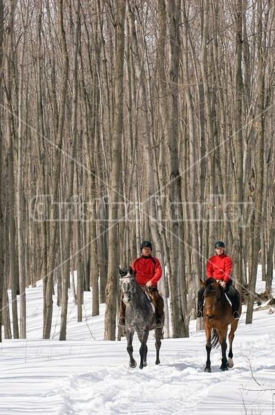 Horseback Riding in the Winter in Ontario Canada