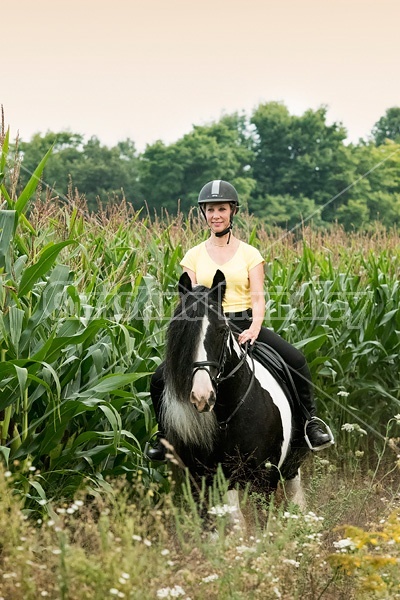 One woman riding a Gypsy Vanner horse.