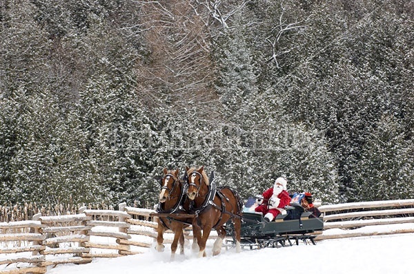 Santa Claus driving sleigh