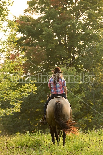 Young woman horseback riding western 