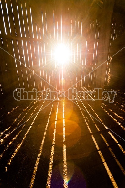 Rays of sunshine beaming through barn boards