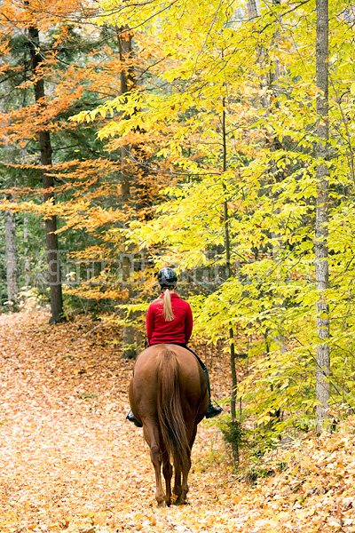 Young girl horseback riding through the autumn colored forest