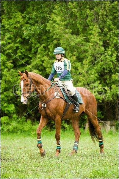 Horse Trials