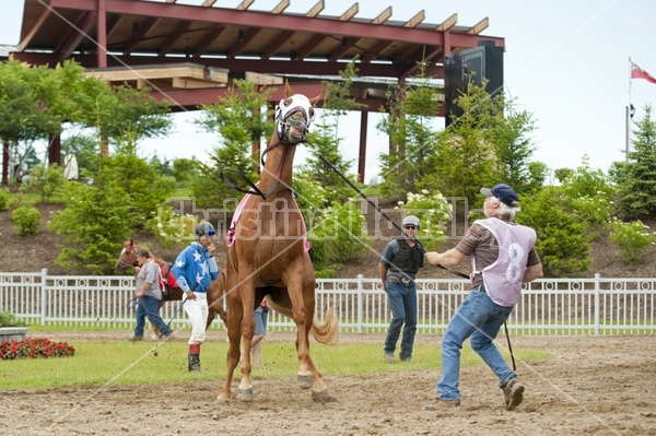 Quarter Horse Racing at Ajax Downs
