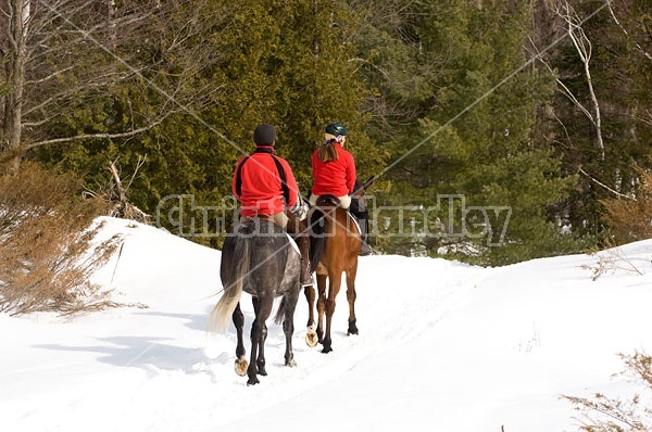 Horseback Riding in the Winter in Ontario Canada