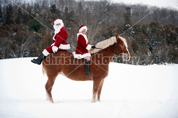 Santa Claus and Mrs. Claus riding double on a Belgian draft horse