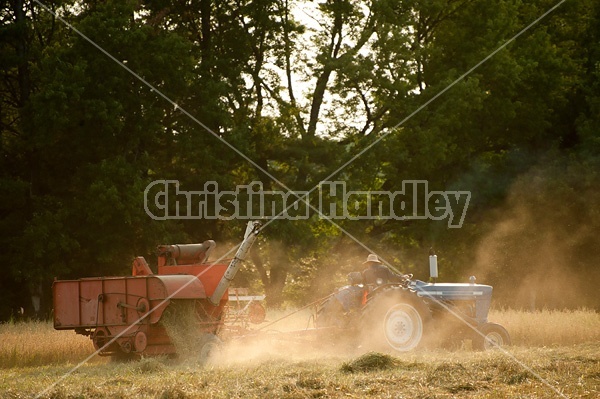 Combining oats