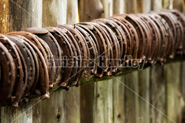 Old rusty horseshoes