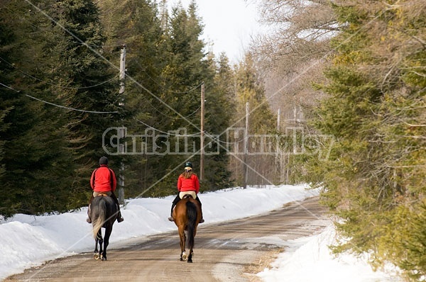 Horseback Riding in the Winter in Ontario Canada