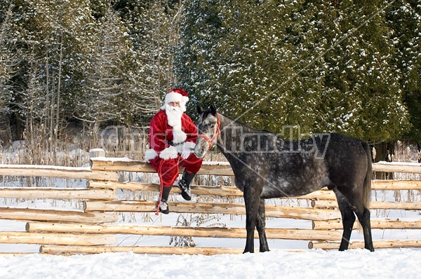 Santa Claus and his Horse