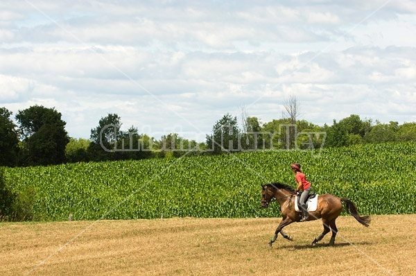 Woman horseback riding in field