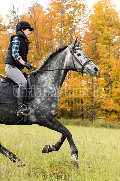 Young woman riding gray horse in the autumn colors