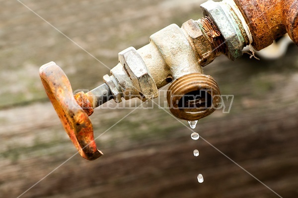 Dripping water tap