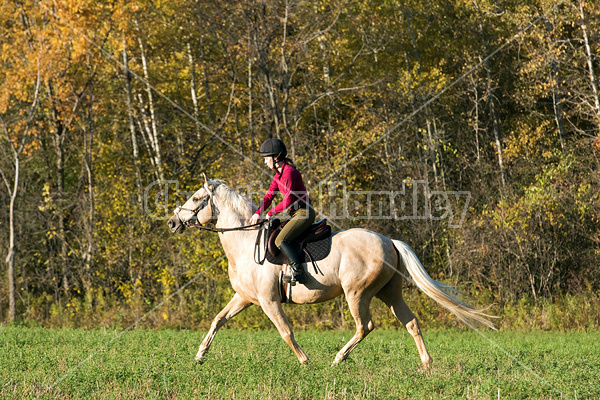 Young woman riding palomino horse