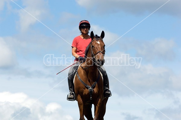 Woman riding bay horse