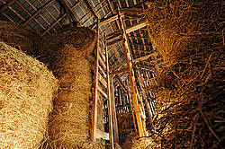 Looking up at the view inside an old barns hayloft