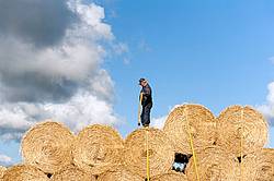 Farmer loading tractor trailer with round bales of straw and getting them strapped down for transport