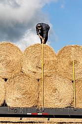 Farmer loading tractor trailer with round bales of straw and getting them strapped down for transport