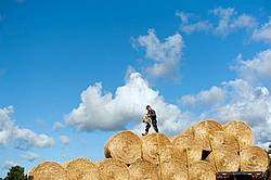 Farmer loading tractor trailer with round bales of straw and getting them strapped down for transport