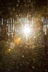 Orange barn cat sitting on round bale of hay in old barn hayloft. Sunlight streaming in through the cracks of the barn boards.