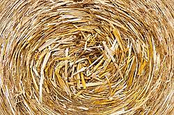 Close-up frame filling photo of the center of a round bale of oat straw