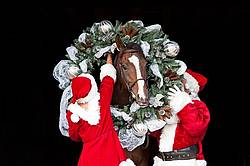 Santa Claus and Mrs Claus standing with a thoroughbred horse with a Christmas wreath over its head.