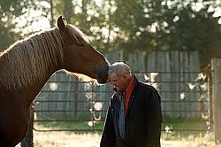 Man and Belgian draft horse