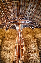 Inside the hayloft of an old barn filled with round bales of straw. The sun is streaming through the cracks of the barn boards.