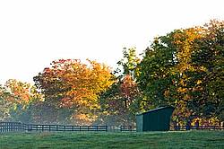 Autumn farm scene