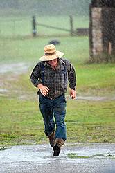 Farmer running across barnyard in the rain