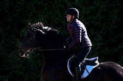 Woman riding Thoroughbred horse in dramatic light