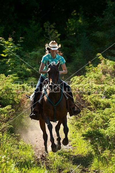 Woman trail riding on Standardbred mare