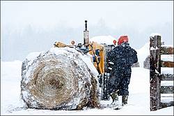 Farmer with tractor and round bale of hay