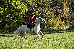 Young woman riding palomino horse