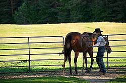 Young woman putting horse back in paddock