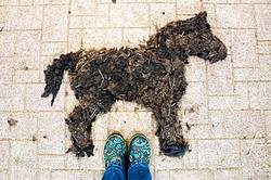 Design made out of horse hair