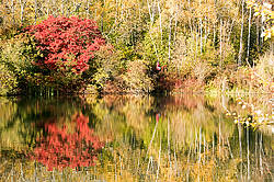 Woman horseback riding around pond in the autumn colors