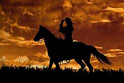 Silhouette of a cowgirl riding western.