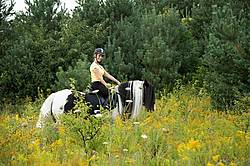 One woman riding a Gypsy Vanner horse.
