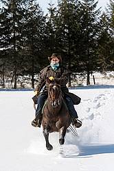 Woman riding quater horse stallion in deep snow