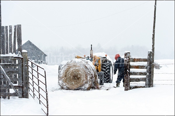 Farmer with tractor and round bale of hay
