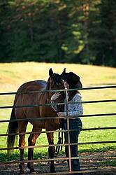 Young woman putting horse back in paddock