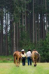 Young couple with their horses 