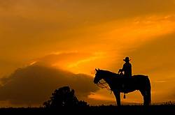 Silhouette of a cowgirl against a colorful sky