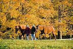 Two women leading horses through field.